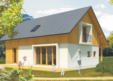 Wooden house SPRING